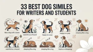 Dog Similes