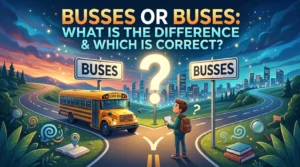 Busses Or Buses