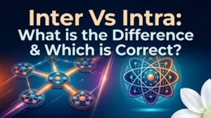 Inter Vs Intra: What is the Difference