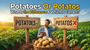 Potatoes Or Potatos