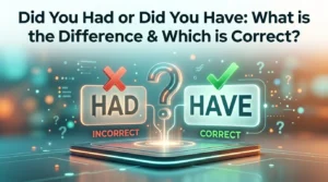 Did You Had or Did You Have