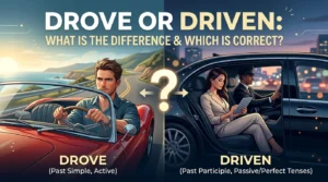 Drove or Driven