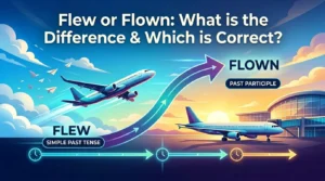 Flew or Flown