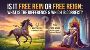 Is It Free Rein or Free Reign